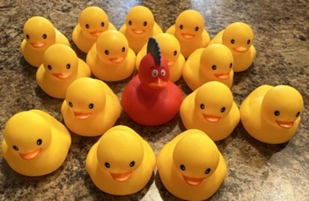 Rubber Duck Lot 16 Collectible  Duckies Bath Jeep Dash Fun